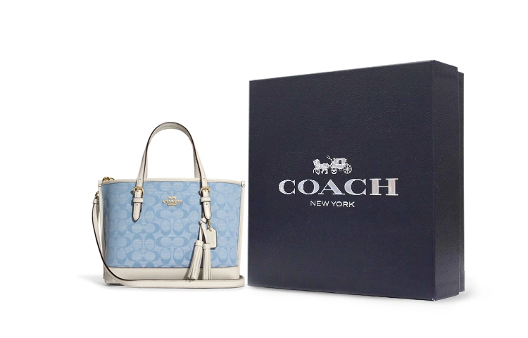 COACH Mollie 25 Tote