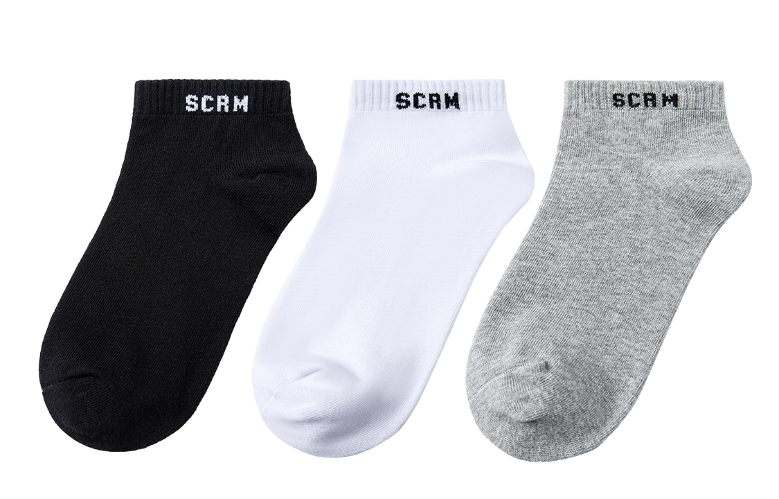 SCRM 3