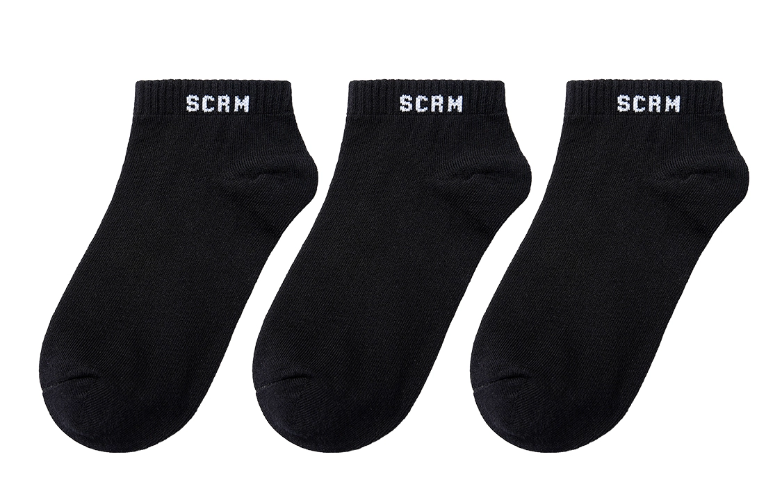 SCRM 3