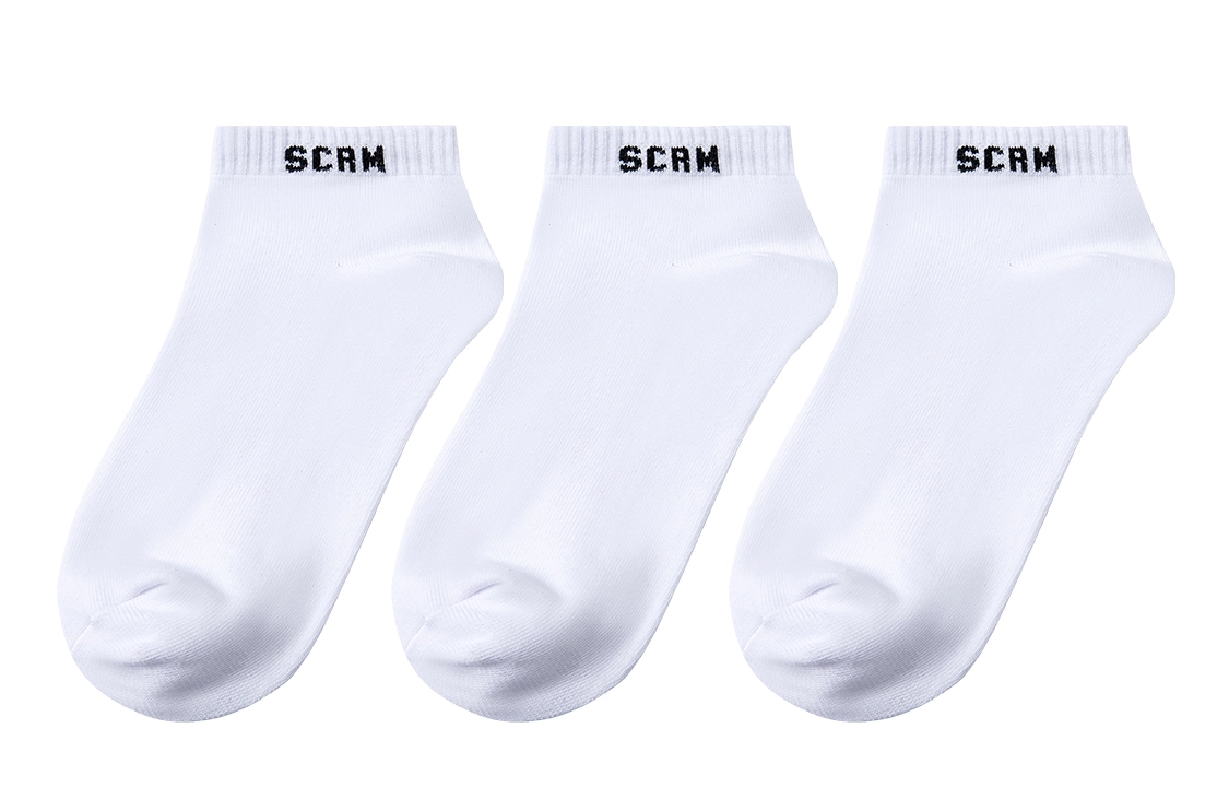 SCRM 3