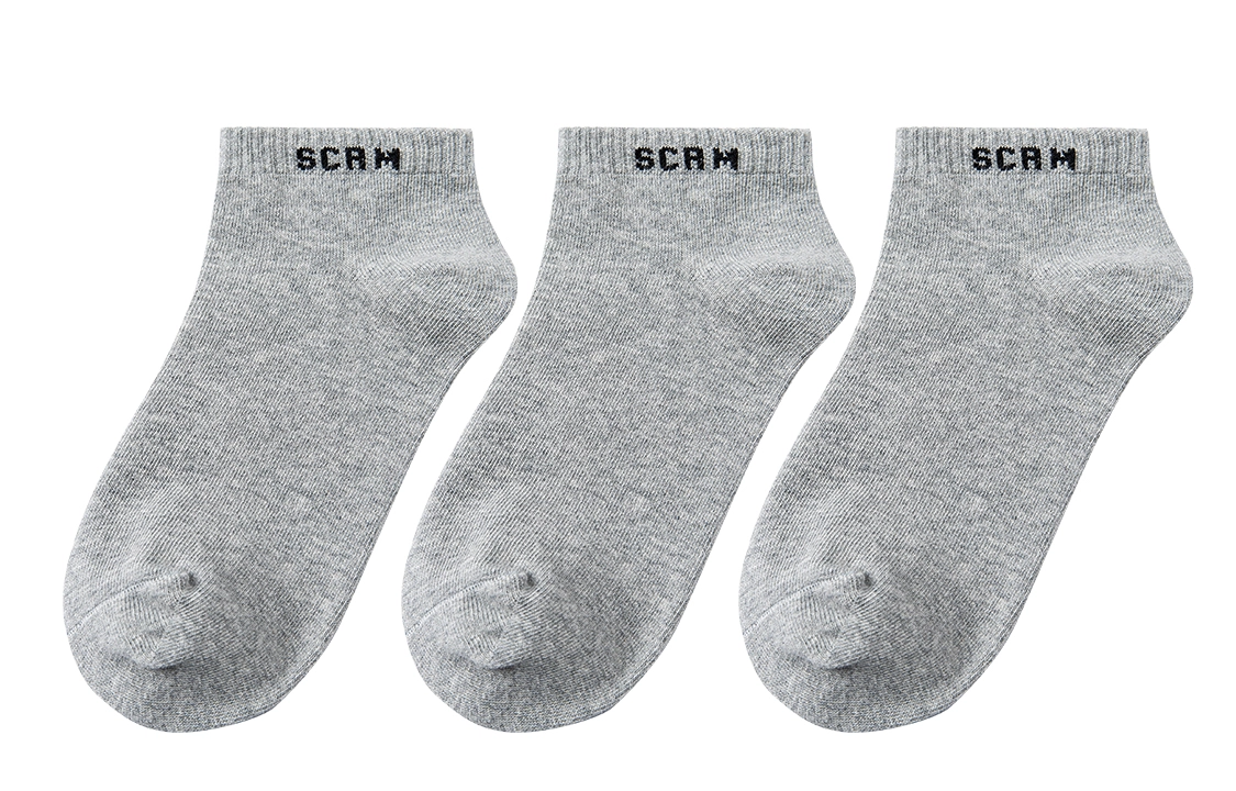 SCRM 3