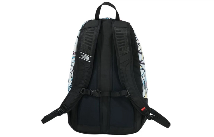 Supreme x The North Face FW22 Week 7