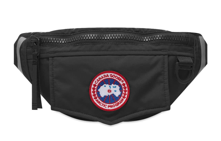 Canada Goose