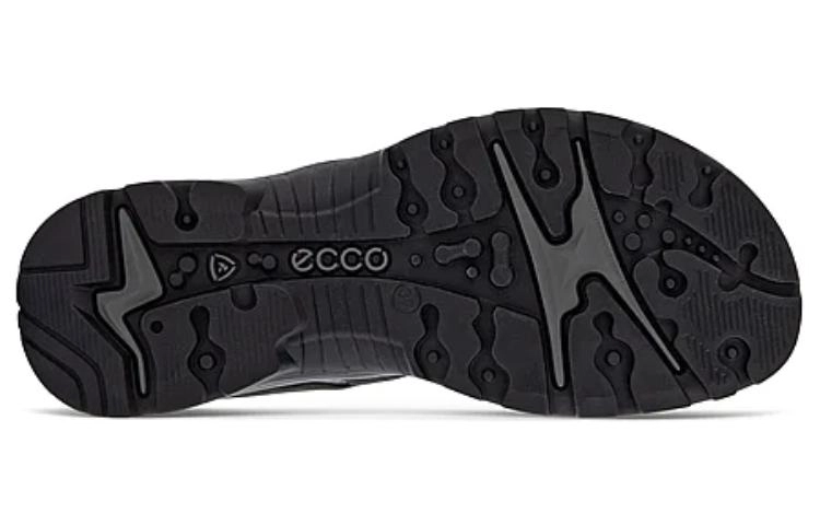 ecco