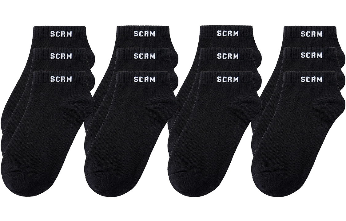 SCRM 3