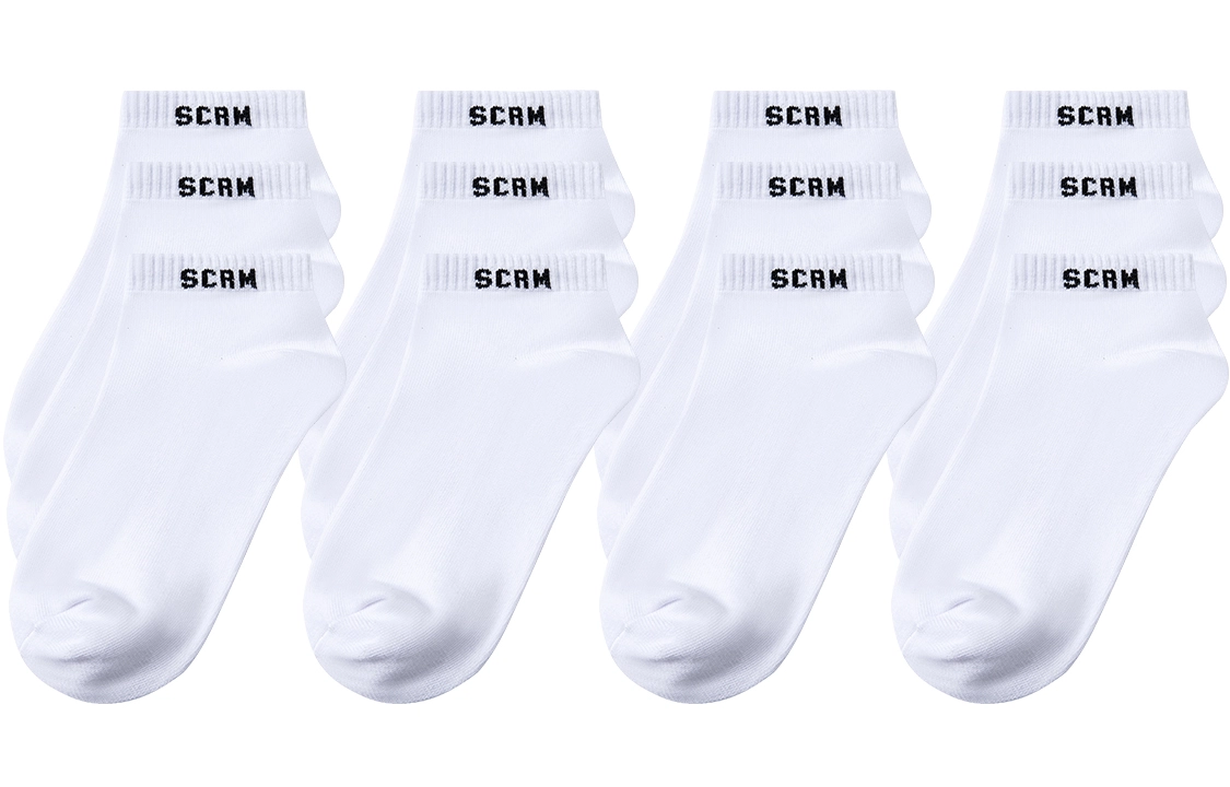 SCRM 3