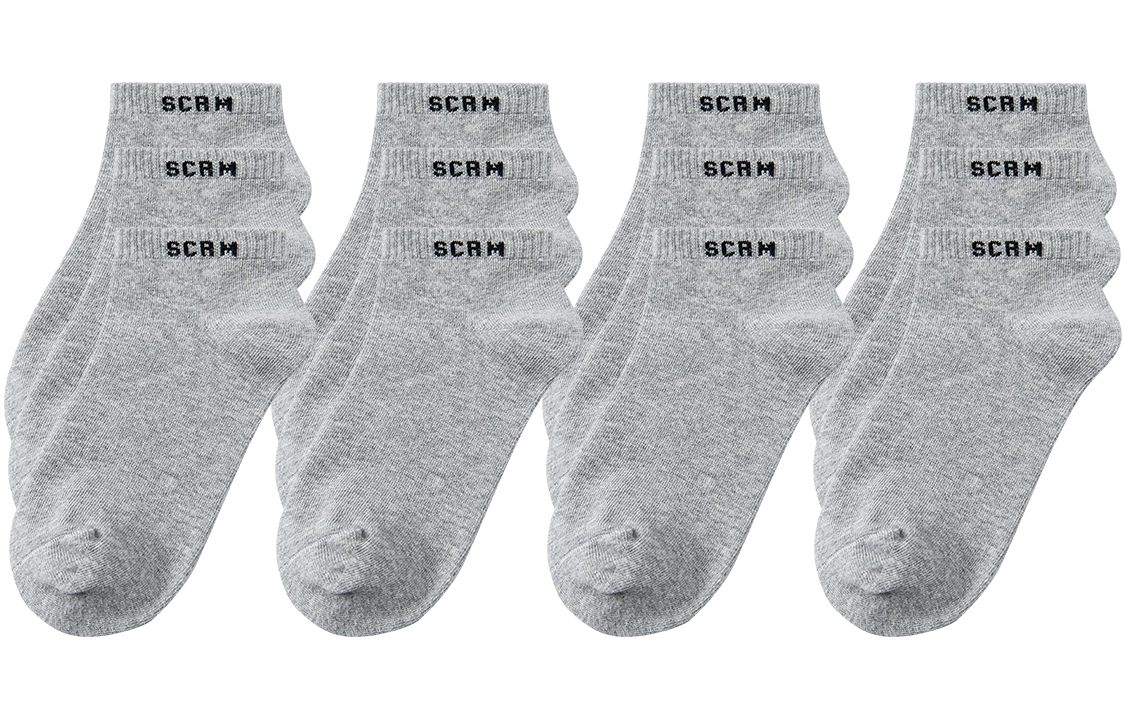 SCRM 3