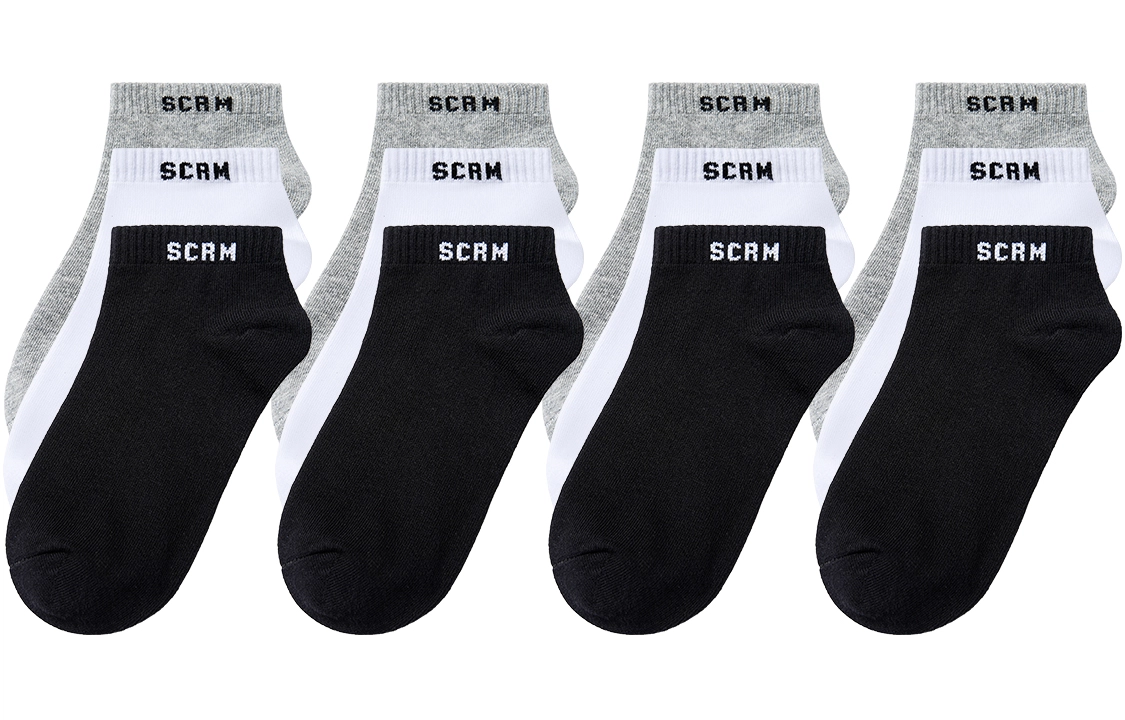 SCRM 3