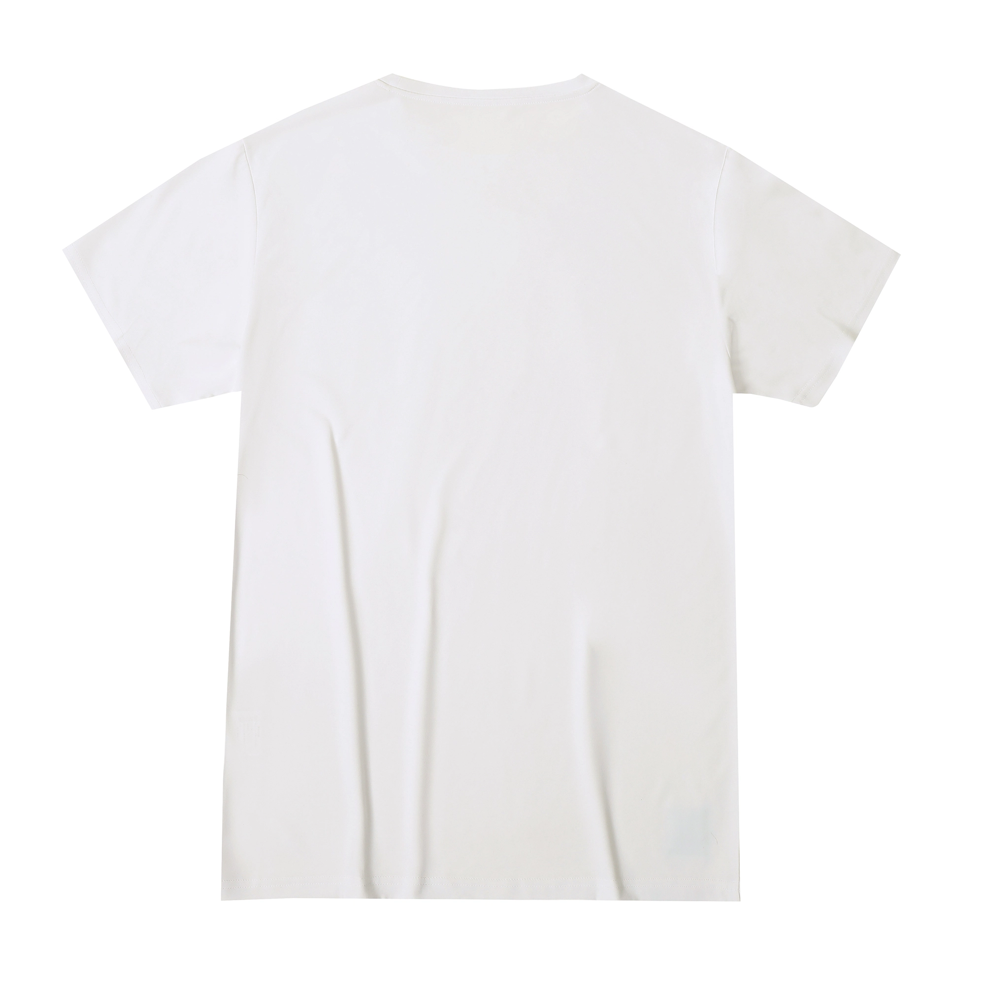 CAMEL T