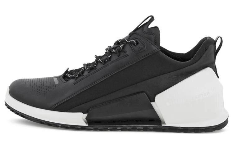 ecco 2.0