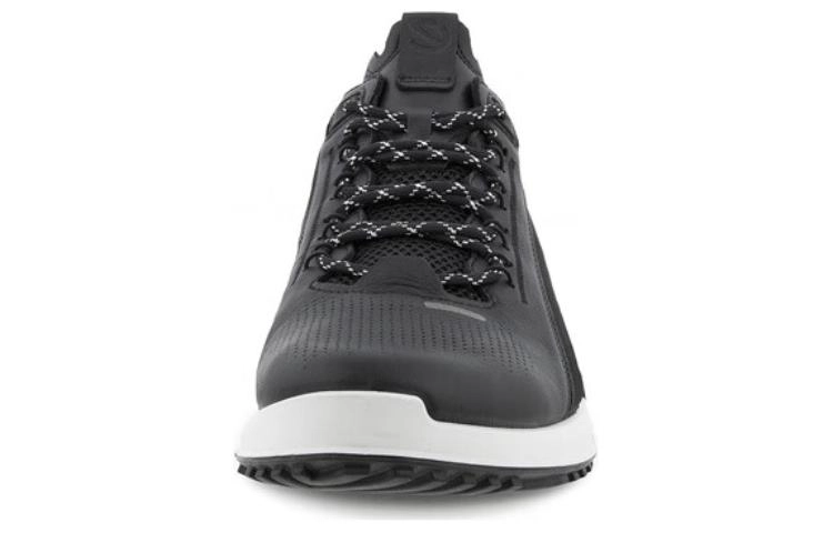 ecco 2.0