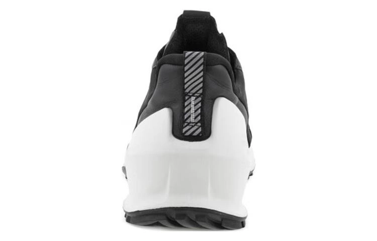 ecco 2.0