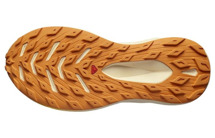 SALOMON GLIDE MAX TR
