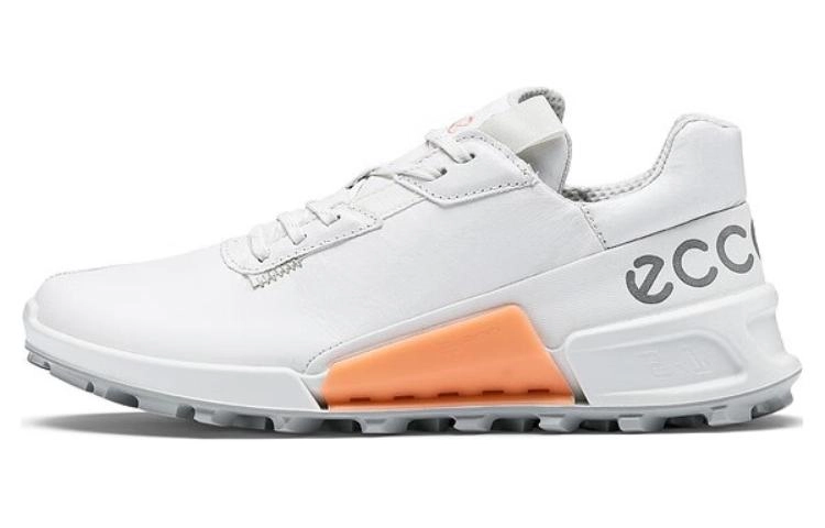 ecco 2.1