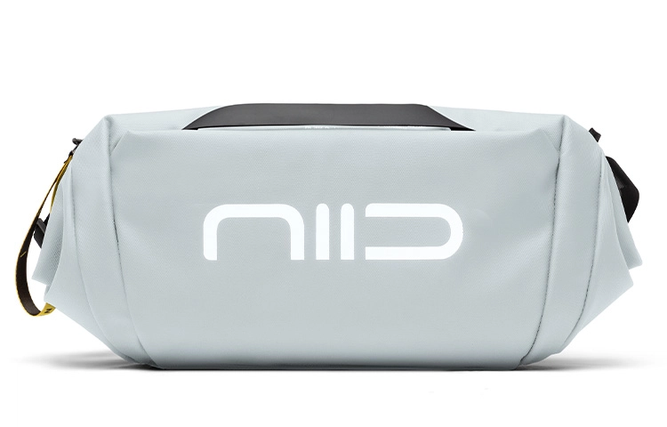 NIID STATEMENT6