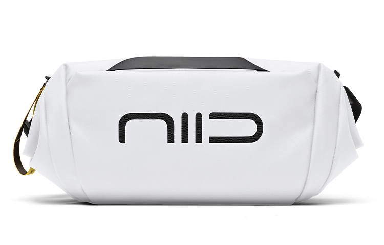 NIID STATEMENT6