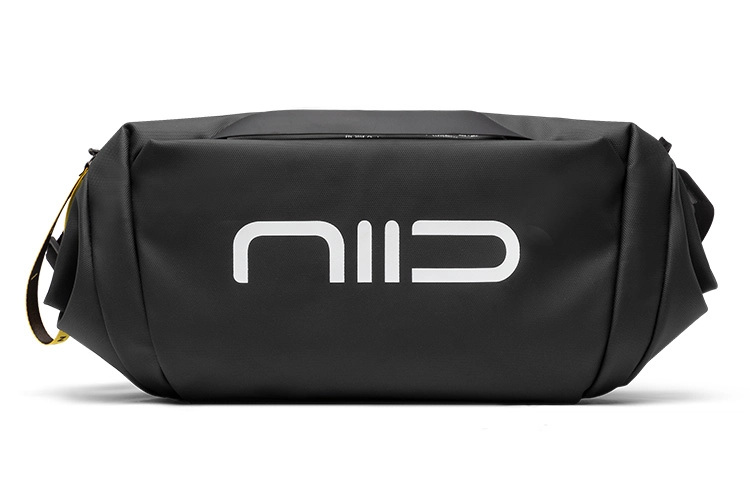 NIID STATEMENT6