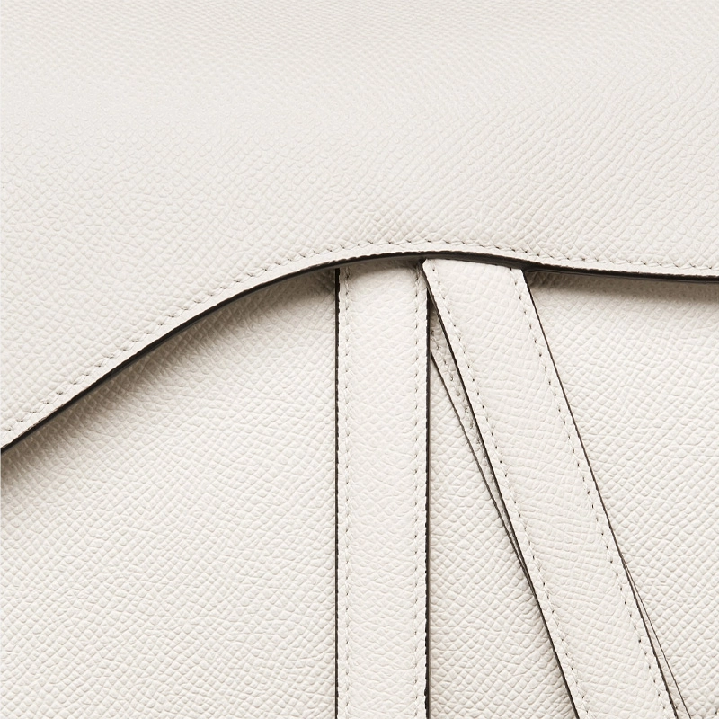 DIOR Saddle DCD