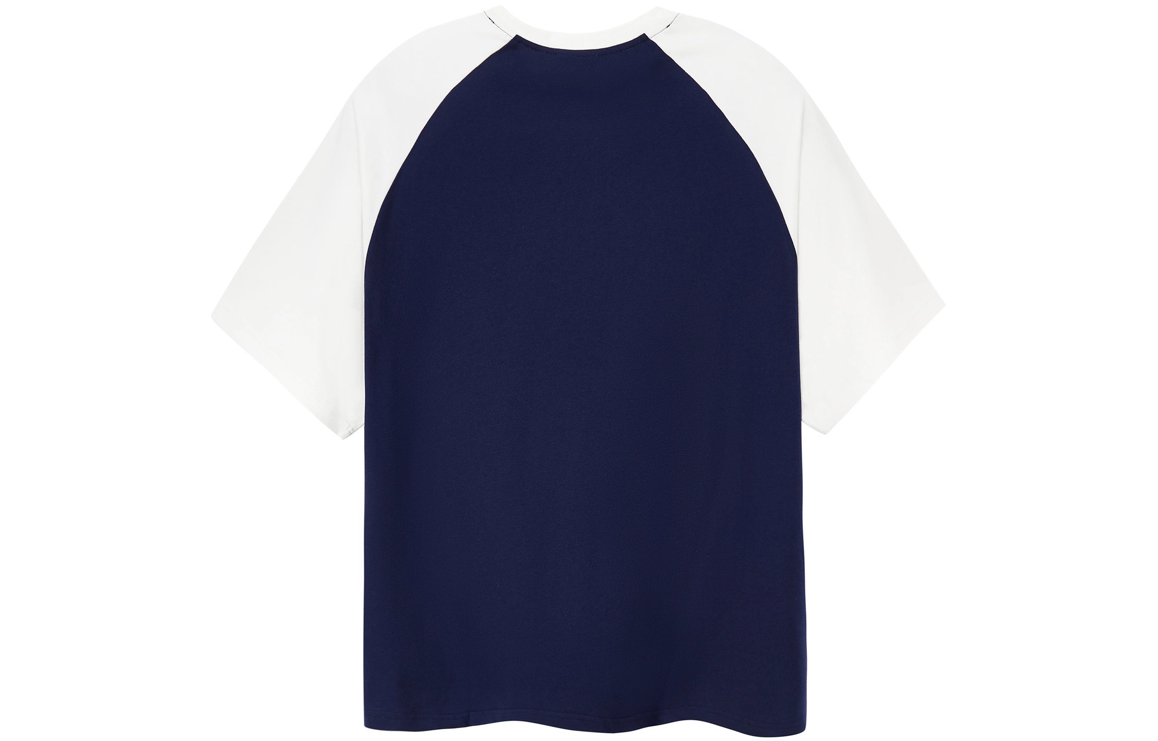 ICONS Lab SS23 icsT