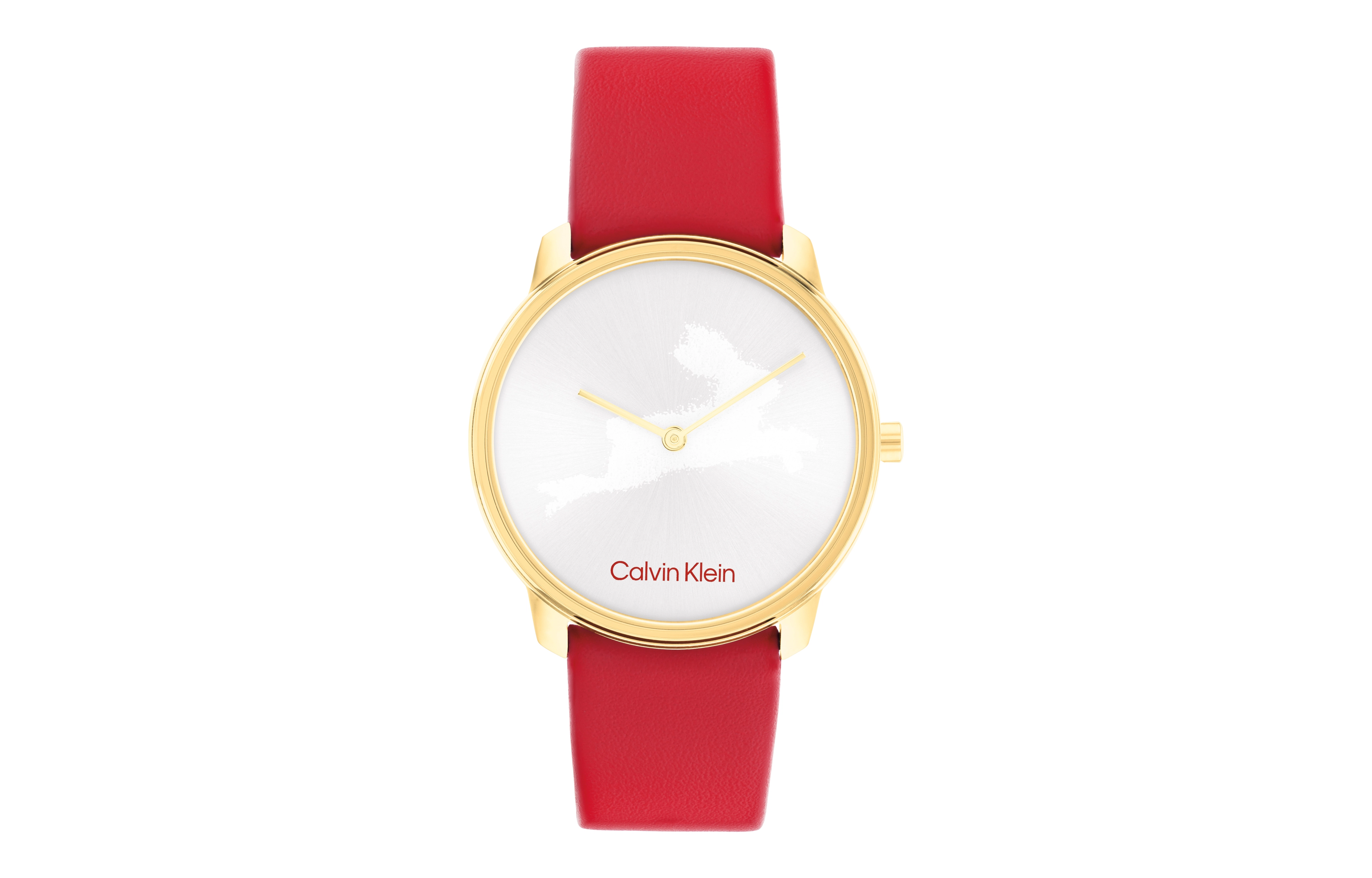 CKCalvin Klein 25200219