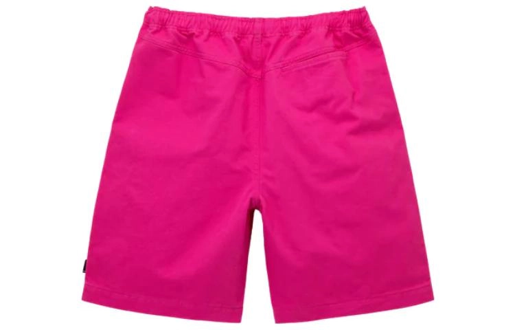 Stussy SS22 Brushed Beach Short
