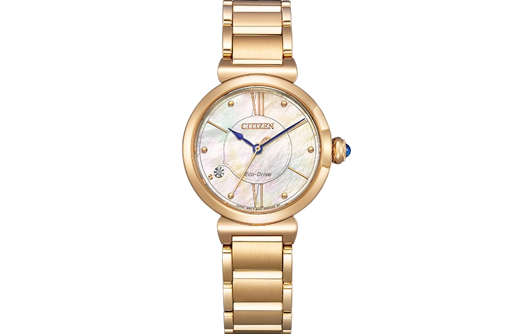 CITIZEN EM1073-85Y