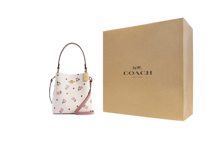 COACH Town 22