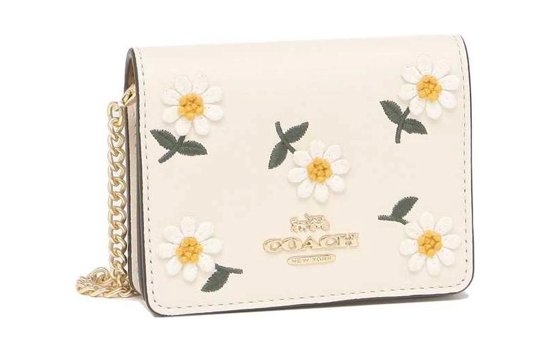 COACH Chain 10