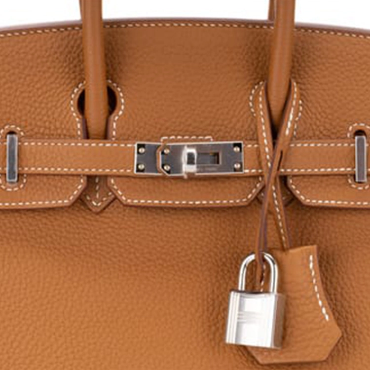 HERMES Birkin 25 37 Togo 520