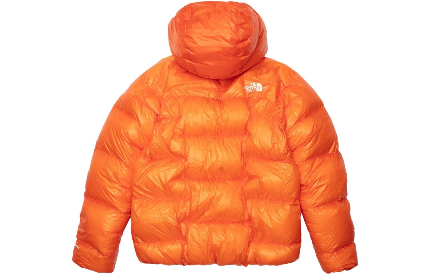 THE NORTH FACE 800
