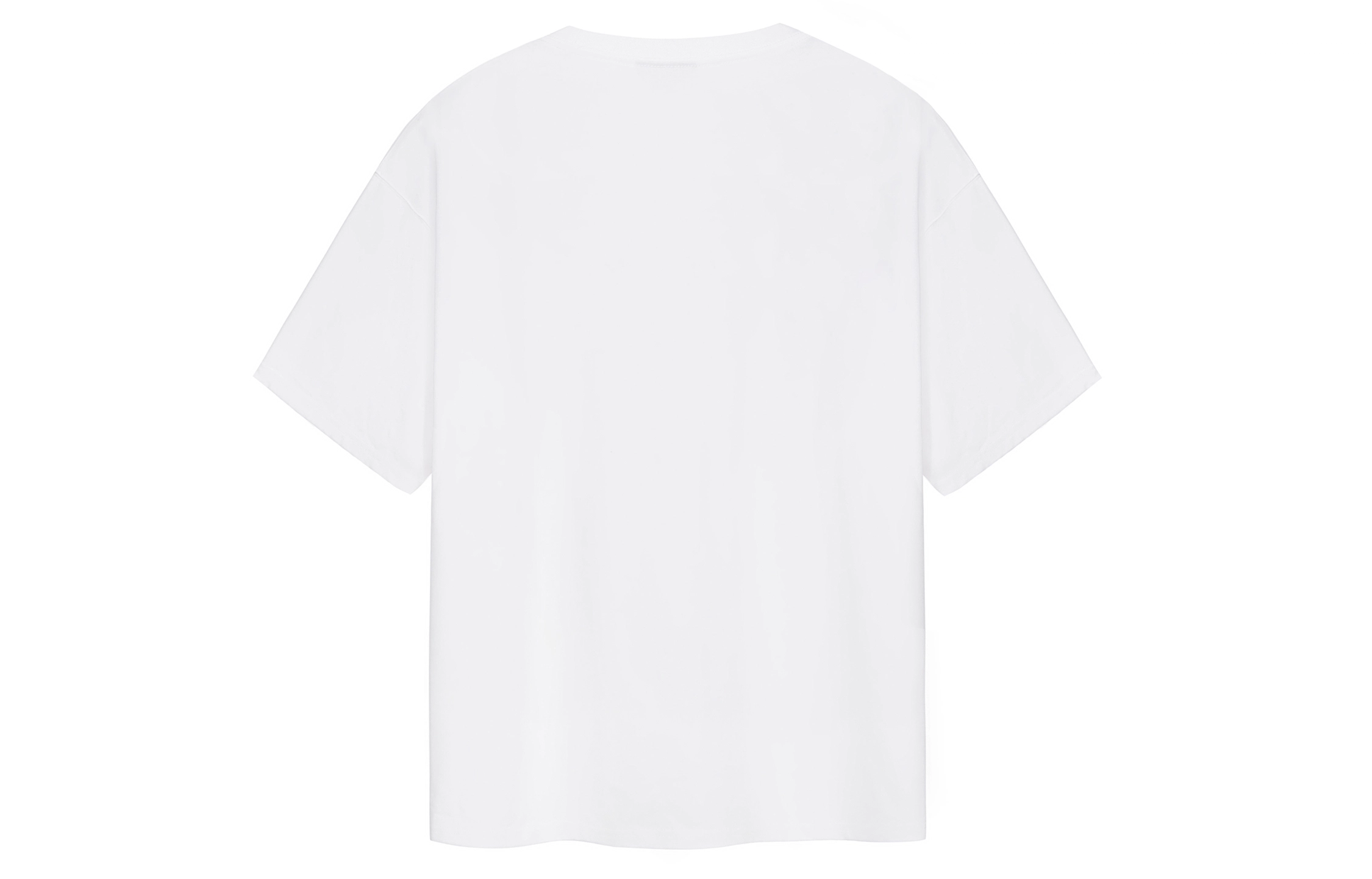 ICONS Lab T