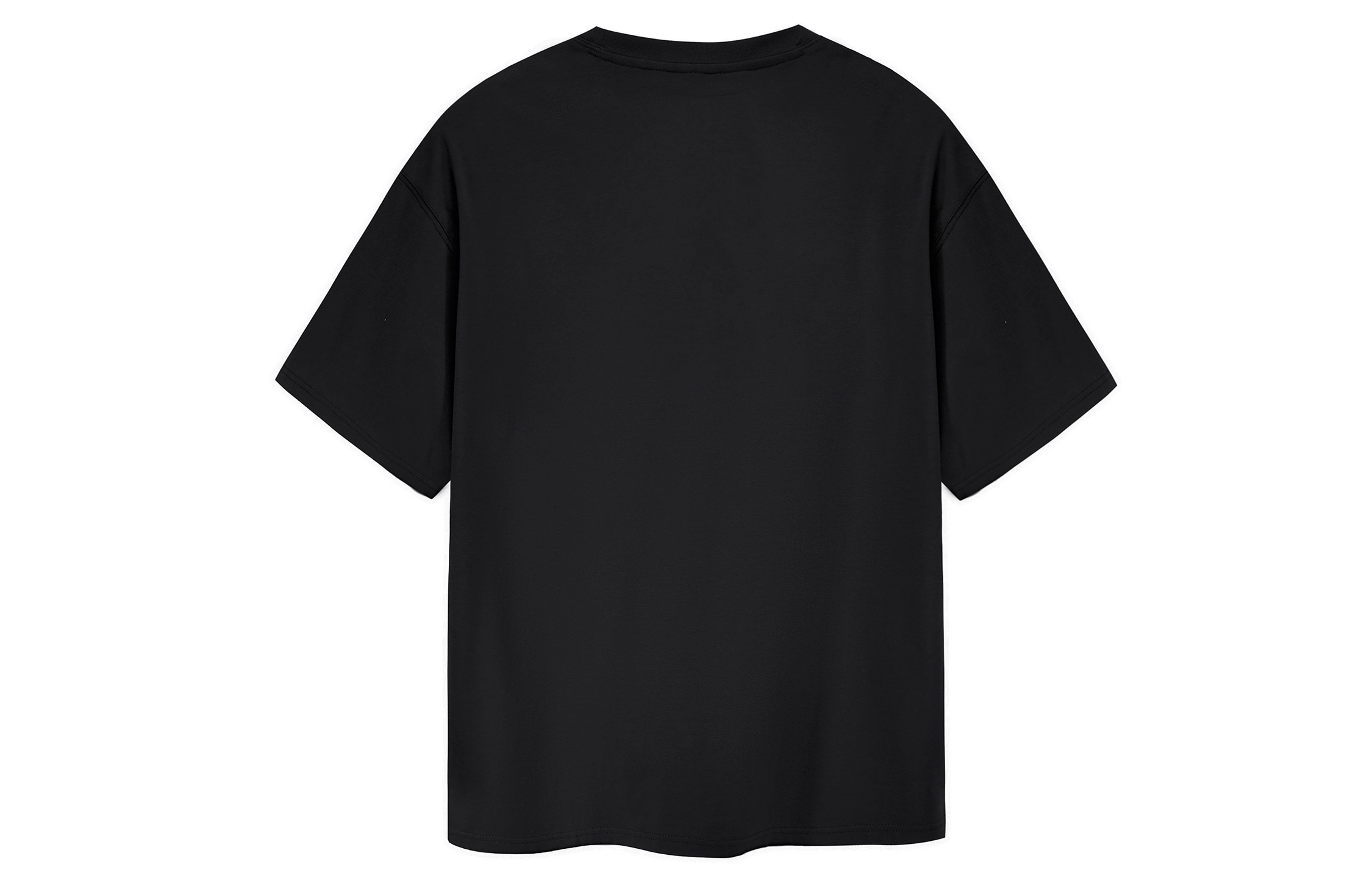 ICONS Lab T