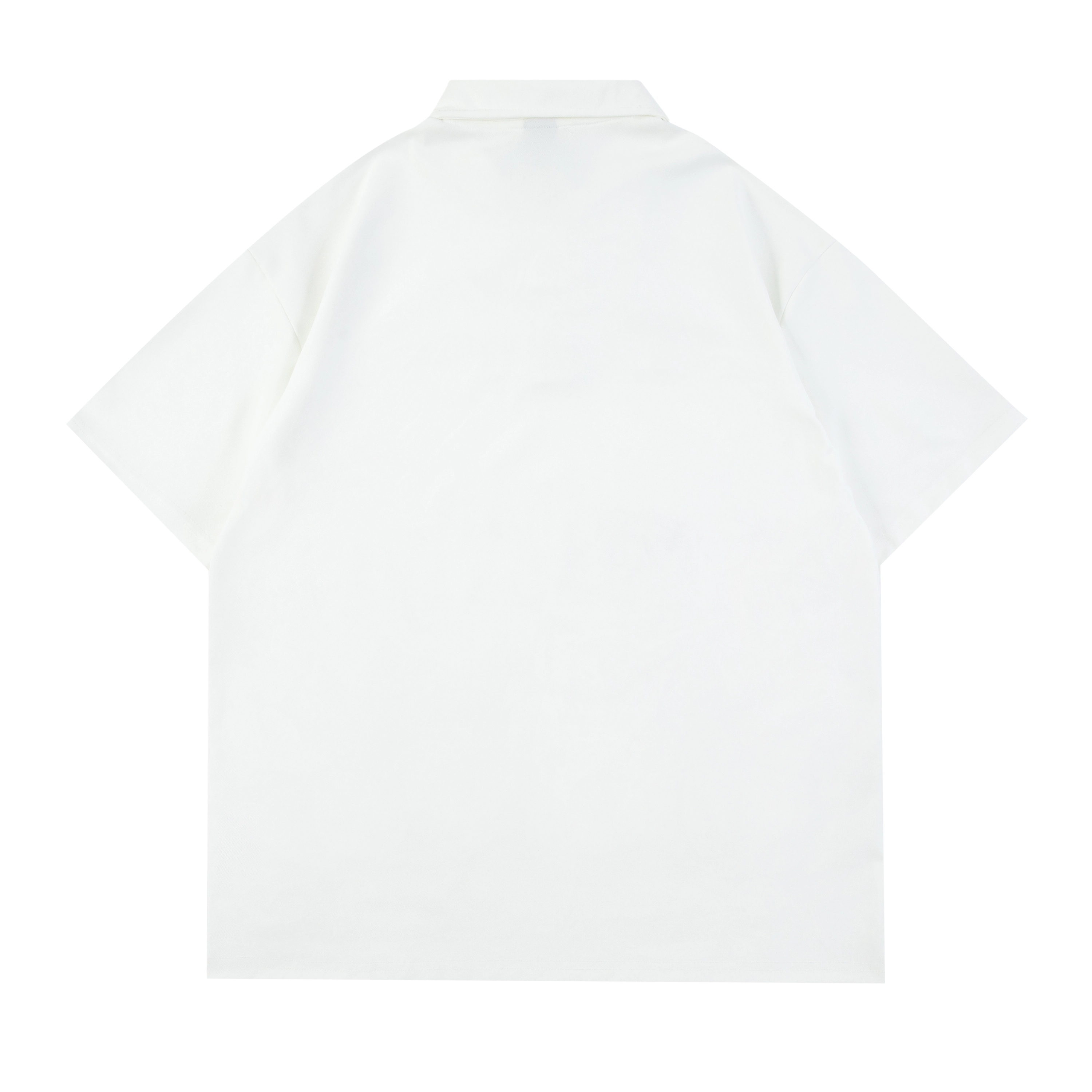STANAIR LogoPolo