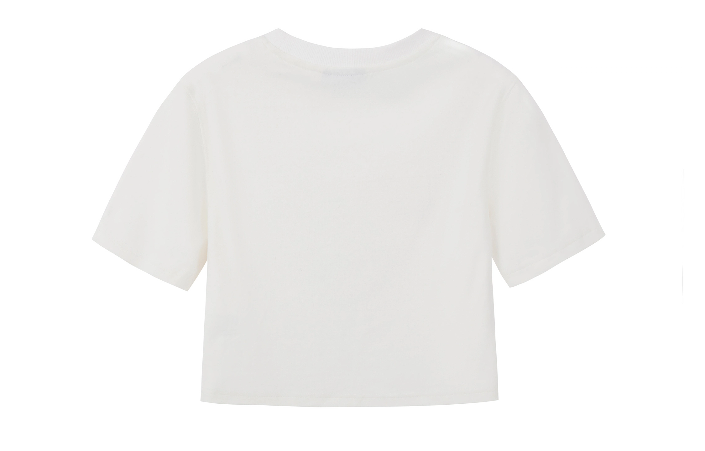 ICONS Lab SSUR PLUS SS23 ics T