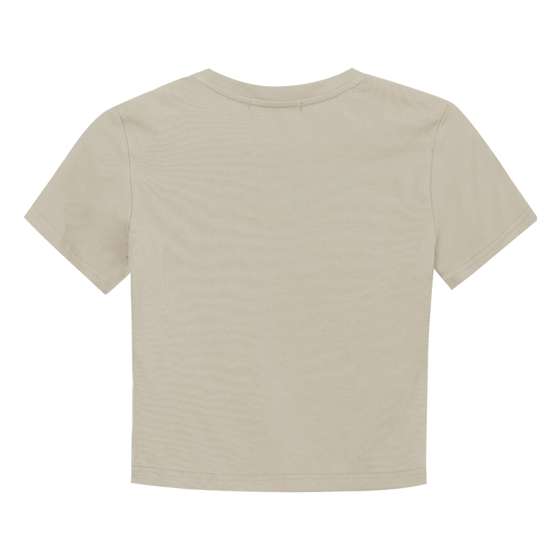 WESTLINK T