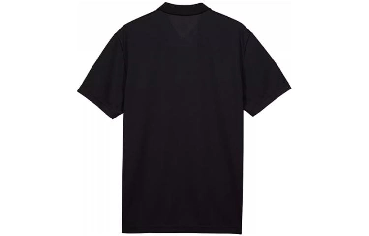 LogoPolo