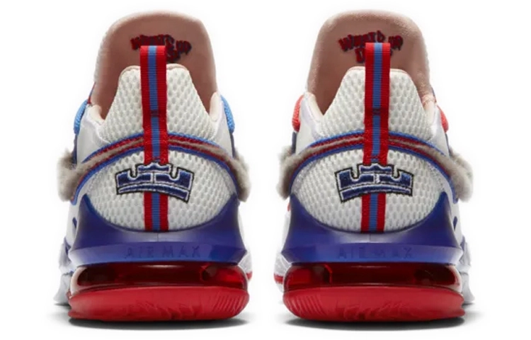 Nike Lebron 17