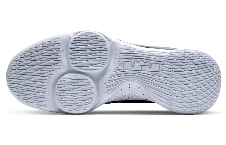 Nike Witness 5 Lebron