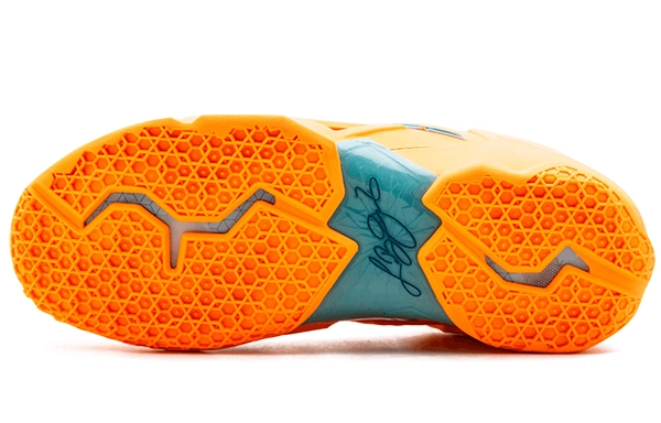 Nike Lebron 11 Knicks