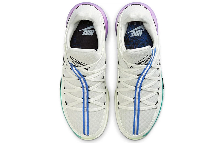 Nike Lebron 17