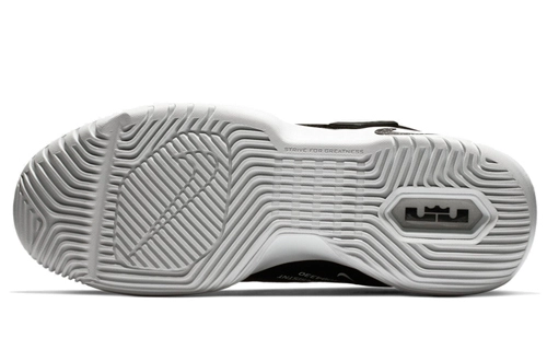 Nike Ambassador 11 LeBron 11