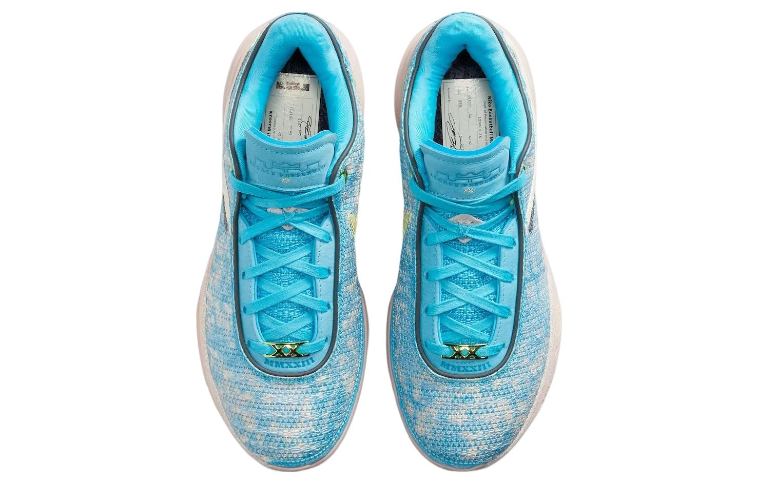 Nike LeBron 20 All-Star