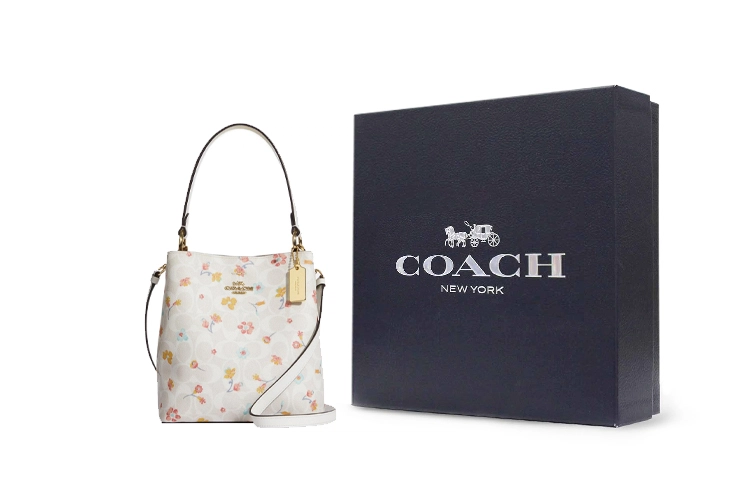 COACH Town 22