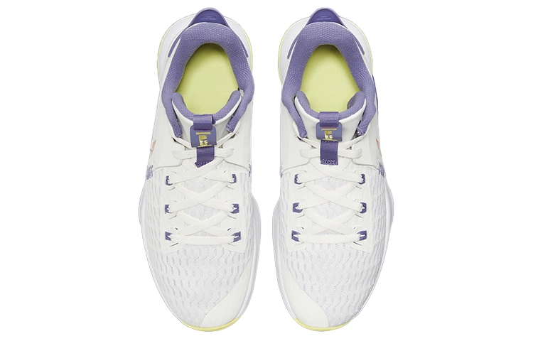 Nike Witness 5 Lebron EP "Lakers"