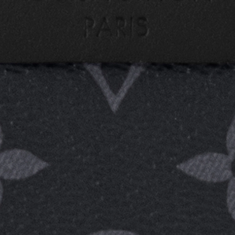 LOUIS VUITTON Discovery Logo