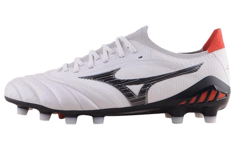 Mizuno