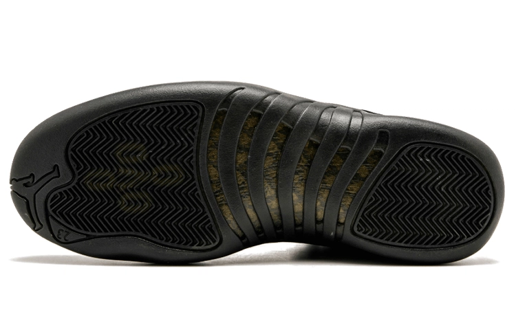 Jordan Air Jordan 12 Retro OVO Black 2017