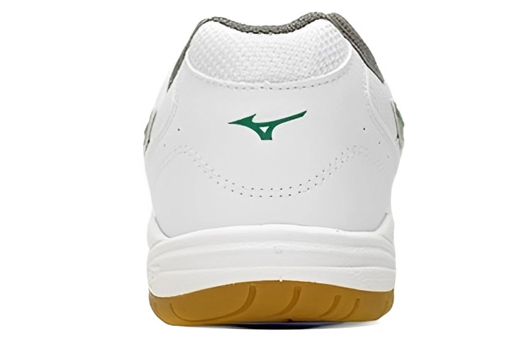 Mizuno School Indoor