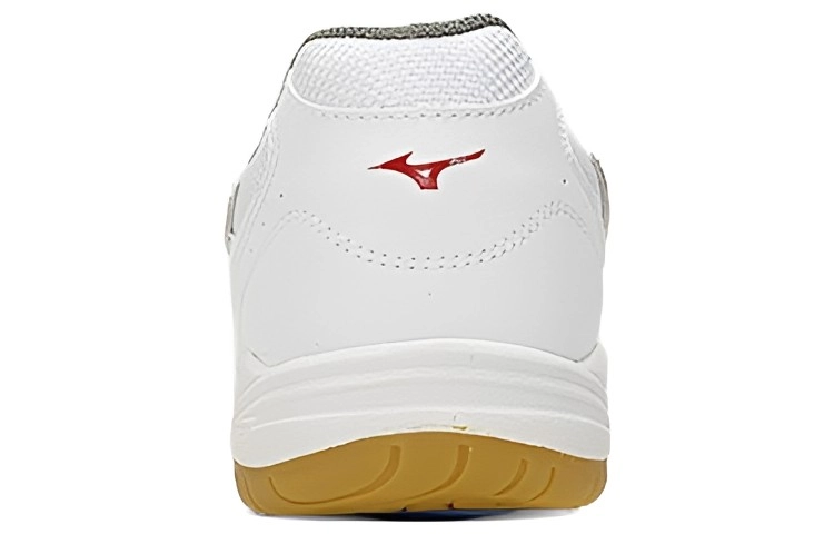 Mizuno School Indoor