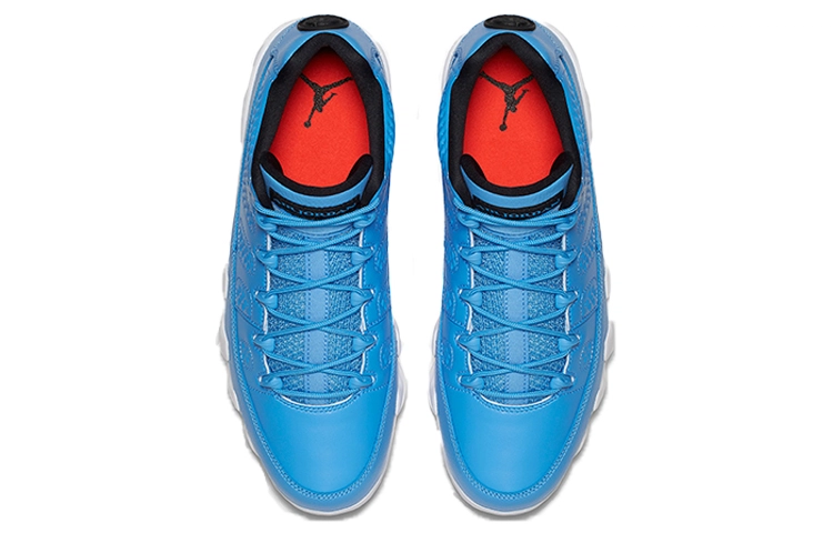Jordan Air Jordan 9 Retro Low Pantone